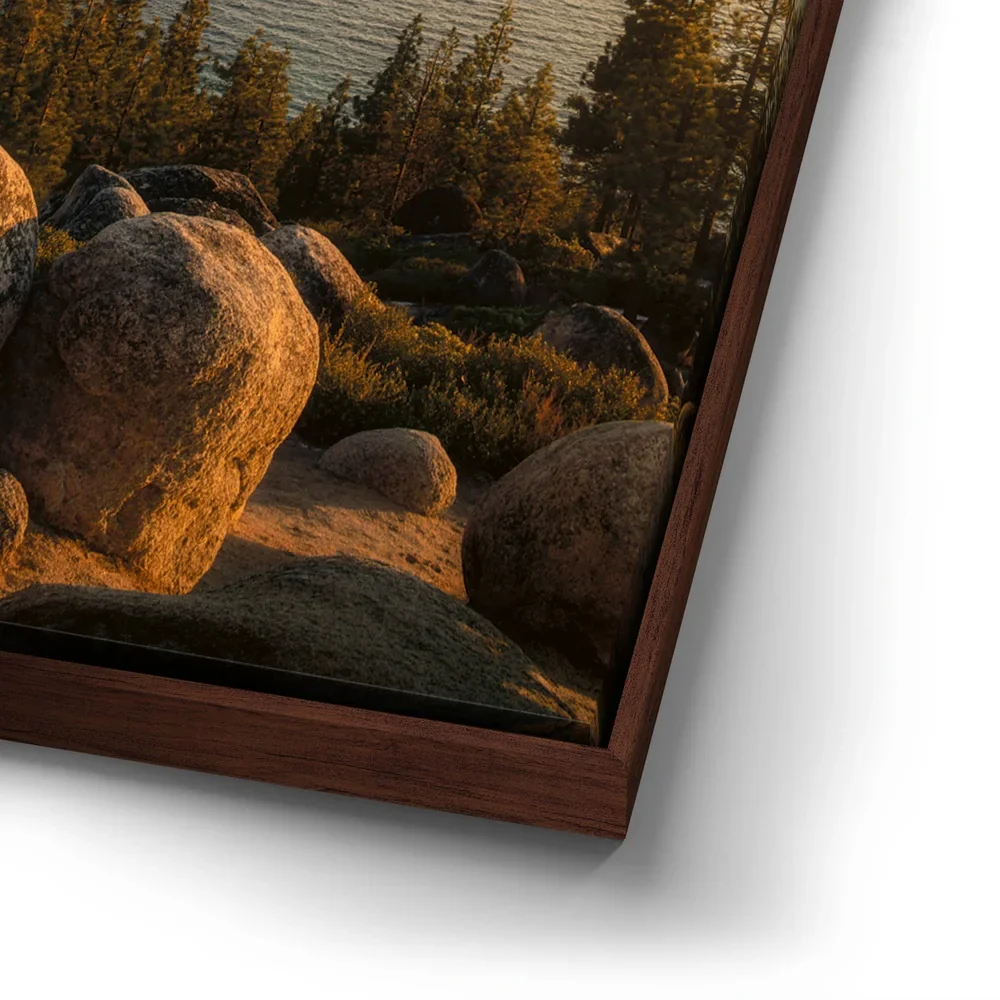 Thumbnail 14