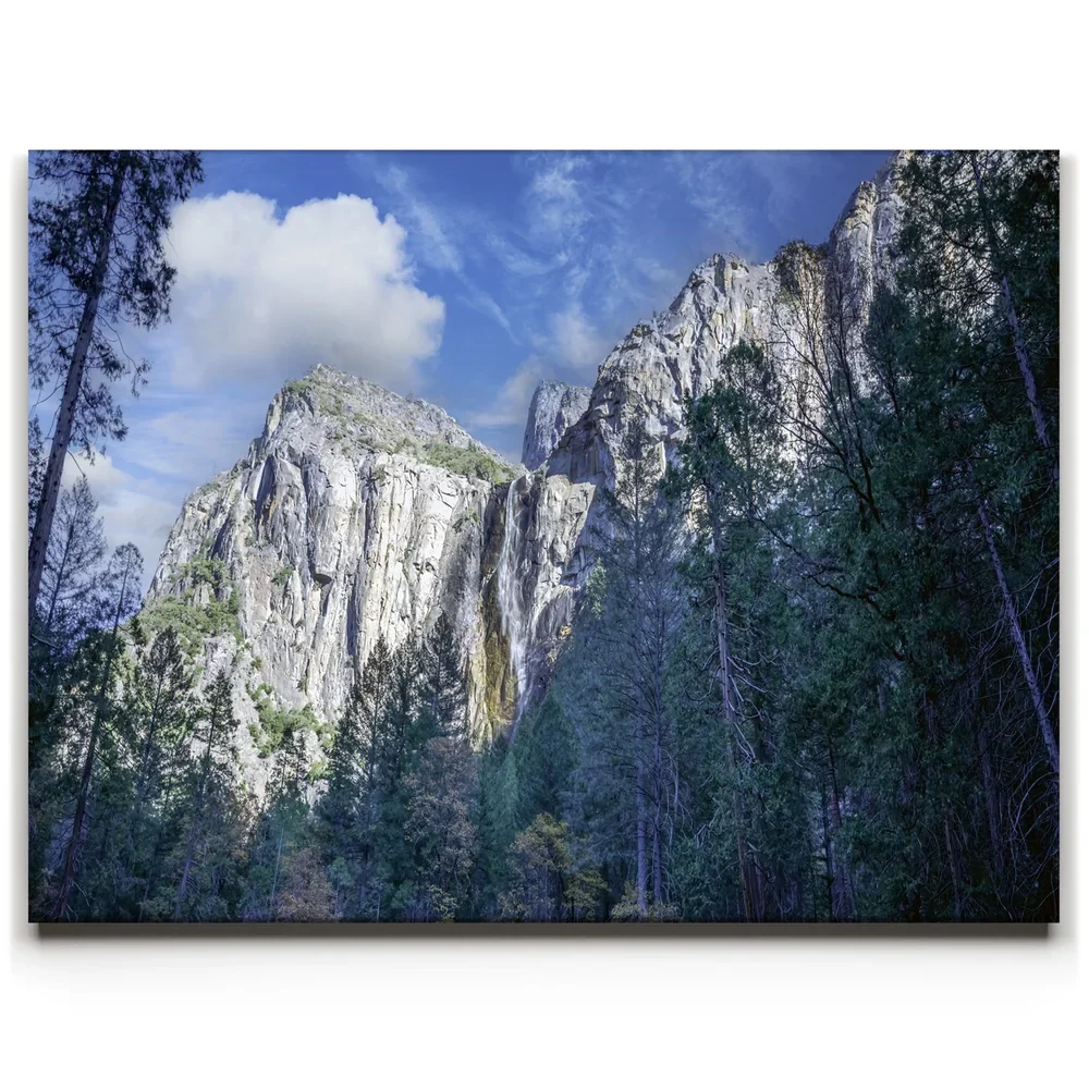 Featured Art